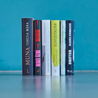 Six novels chosen as finalists